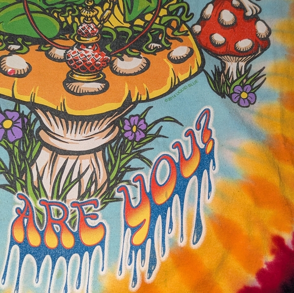 Liquid Blue Alice In Wonderland We're All Mad Here Tye Die Shirt XL - Picture 5 of 10